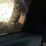 BS300 Microware Blind Spot Detecting System LED version